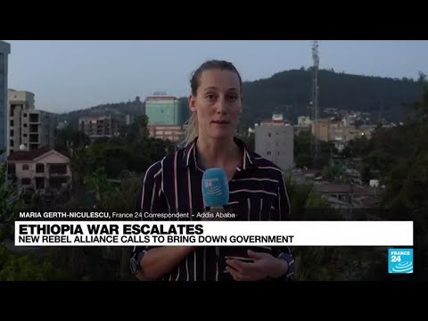 Nine Ethiopian groups to form anti-government alliance ...