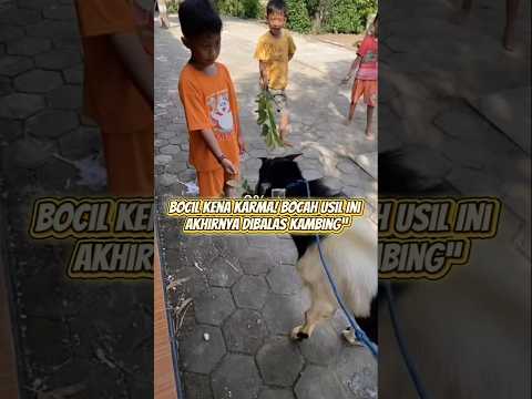 karma instan 😂😂😭#shorts #shortvideo