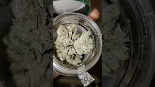 CBX RED EYE OG STRAIN INDICA #indica #herb #topshelf