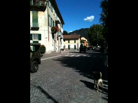 ADAMO47 FESTA DI BRIVIO