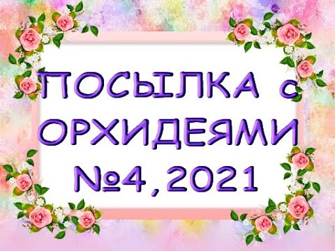 ПОСЫЛКА с новыми ОРХИДЕЯМИ в коллекцию!Посылка с орхидеями №4,2021.
