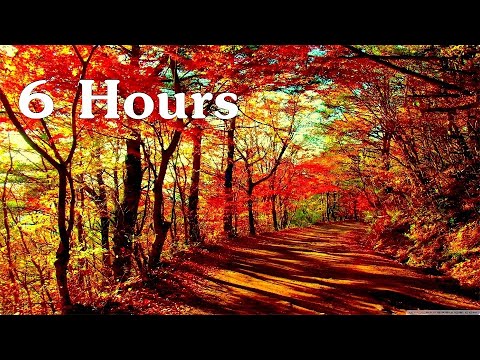6 Hours of "Beethoven's Silence" for Studying and Relaxing