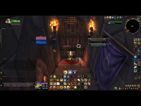 Ret Paladin 2v2 Arena : Ret - Resto Shaman VS MM Hunter - Resto Druid.