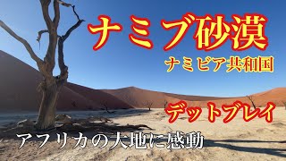 【アフリカ旅行⑤】ナミビア共和国のナミブ砂漠で約千年前の木々を見てきました。