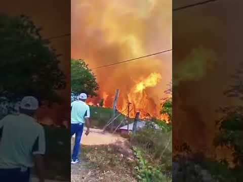 🔥 Voraz incendio en Sabaneta Torres Lara: Familias huyen de las llamas #abastecimientodeagua