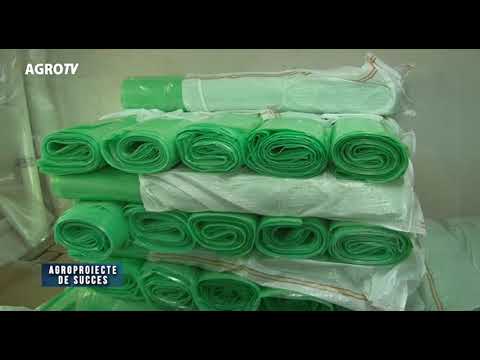 Agroproiecte de succes Sere