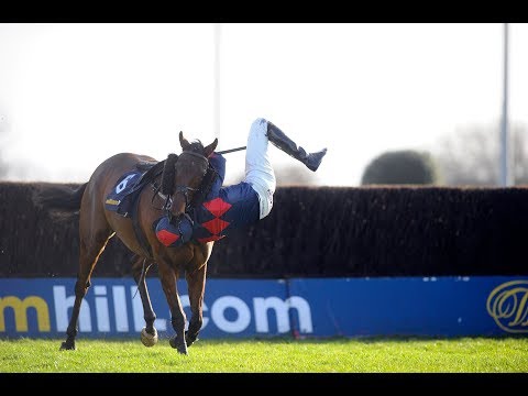 Horse Racing Thrills and Spills 2019