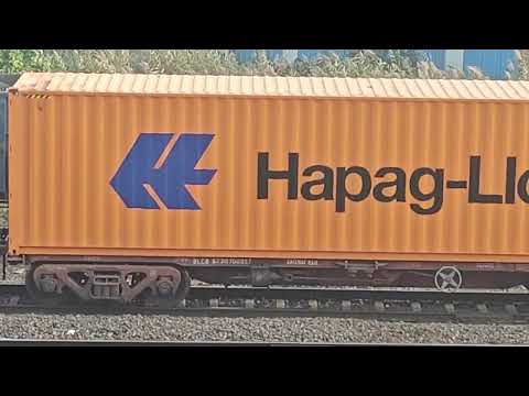 Diesel Locomotive Pulls Container Freight Train and Crosses Coal Freight Train @bharattrain #train
