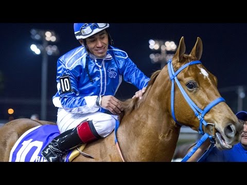 Weekend WrapUp - Dec 14, 2015