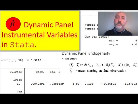 Dynamic Panel IV in Stata