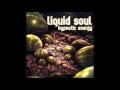 Liquid Soul   Hypnotic Energy   YouTube