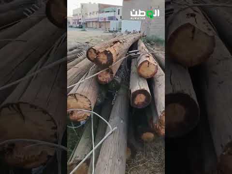 السعوديه – إزالة أعمدة عمرها أربعين عاماً من أحياء الدرب
