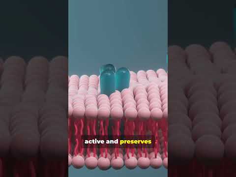 Unlocking the Secrets of CD63: The Cellular Maestro!