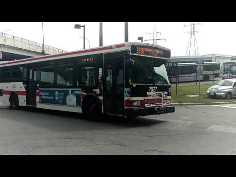 A series of buses at Kipling Station #3