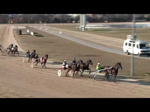 2020.02.08. 02. futam - 2020. ÉVI KINCSEM PARK KUPA I. FUTAMA HENDIKEP