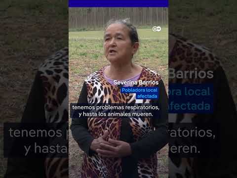 Apple pierde la batalla antimonopolio en la vieja Europa. Lo que viene a partir de ahora es complicado