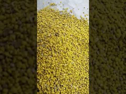 Angel raw wild forest honey, packaging size: 28 kg, packagin...