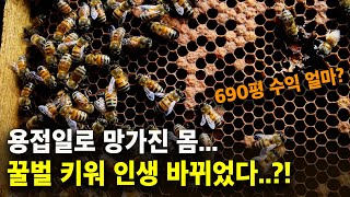 용접일 그만두고 시작한 양봉..! 690평 양봉 수익 공개.! 벌만 잘 키워도 먹고 살 수 있을까?  [칠곡…