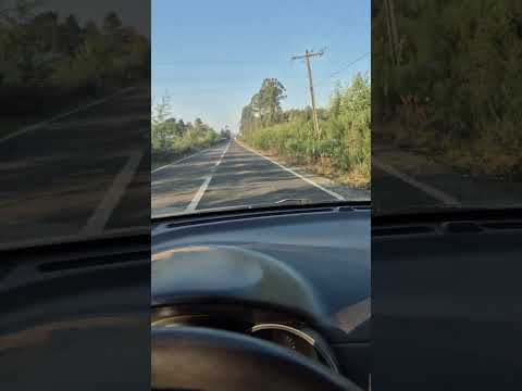 ruta directa a lican ray villarrica desde loncoche