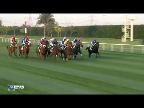 Al Quoz Sprint 2016 G1 - Buffering