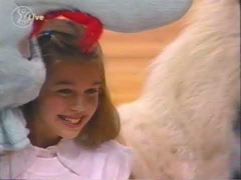 BBL TOP FOUR 2003 - Finale - ALBA Berlin vs RheinEnergie Cologne