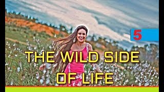 THE WILD SIDE OF LIFE - 5