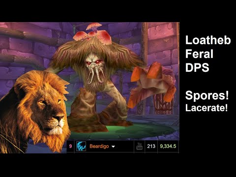 Rank 9 Loatheb -  Naxxramas Feral DPS Classic WoTLK