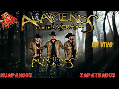 LOS ALAMEÑOS DE LA SIERRA PURO ZAPATEADO Y HUAPANGOS!  PURAS ROLAS PA' BAILAR Y SACAR POLVADERA!