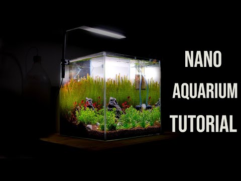 Nano AQUARIUM - AQUASCAPING Tutorial for Beginners