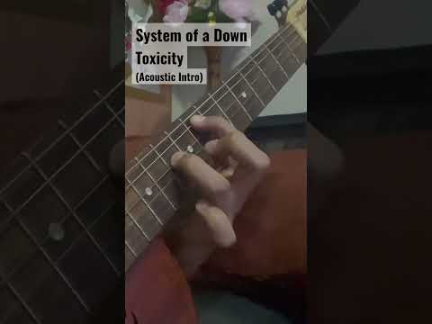 Toxicity (Acoustic Intro) - System of a Down