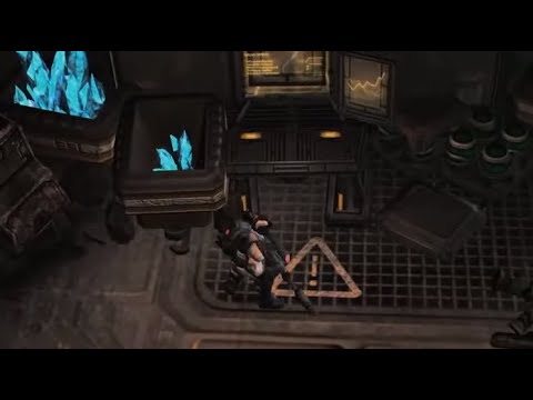 Quarantino! 2020 - Mass Grave (Artem TIFY)