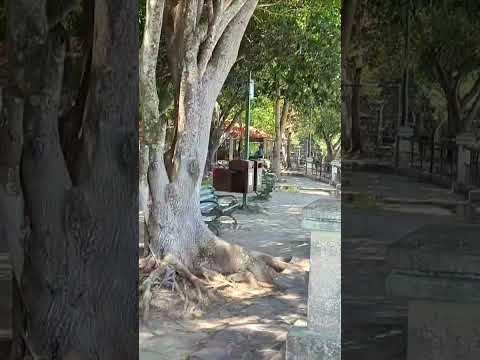 LAGO SUCHITLÁN, PUERTO SAN JUAN, SUCHITOTO, EL SALVADOR. SUSCRÍBETE. 