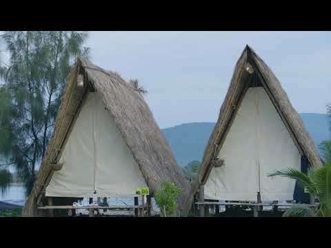 8 Hours of Birds Singing on the Lakeshore and Water Sounds - Relaxing Nature Sounds