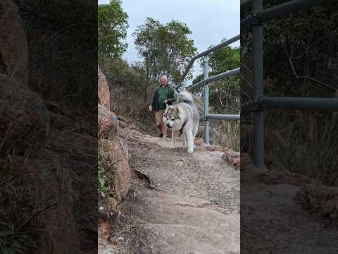 Glory of the North: Castle Hill Walks in Townsville 🇦🇺 #explorequeensland
