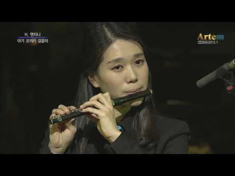 Baby Elephant walk for Piccolo 서선미리 / 린나이팝스 오케스트라