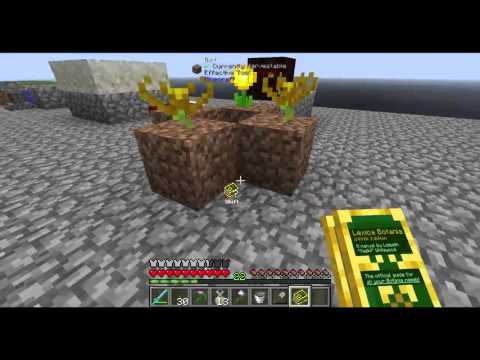 Expert Mode Skyblock FTB Infinity Evolved (Part 94)