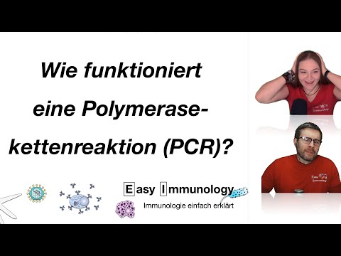 Methoden & Laboralltag: Wie funktioniert eine PCR? (oder auch Polymerase-Kettenreaktion)