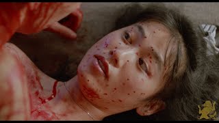 The Films of Hisayasu Satō: Volume #1 [Pink Line & Mélusine Blu-ray Promo Trailer]