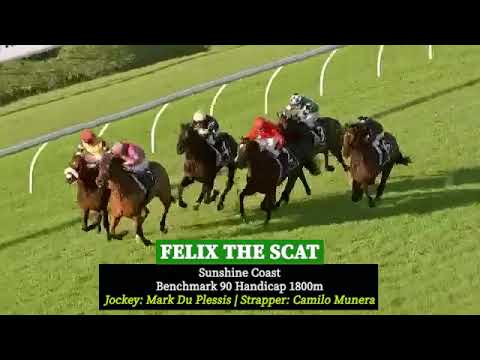 Winner for Sunday 8 June 2025