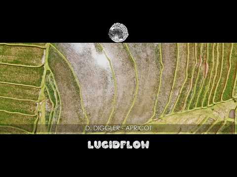 D. Diggler - Apricot [Lucidflow]