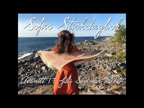 Stickdagboken avsnitt 17