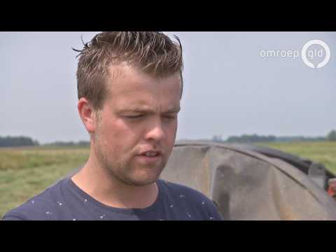 BuitenGewoon 1 juli 2017 - Harm zwerft door Gelderland | Hattemse poort