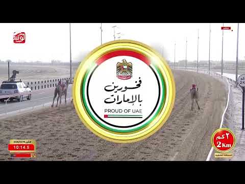 ش 8 (المارد) لـ هجن الرئاسة 13:06:77، مهرجان ختامي الوثبة 2026/05/18 زمول