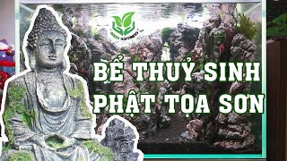 Phật tọa Sơn Bể thủy sinh đơn giản KHÔNG Co2