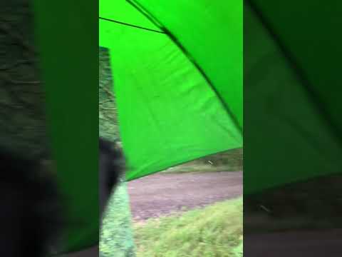 Thumbnail of Martin Taylor - Weathering the storm Thumbnail of Martin Taylor - Weathering the storm