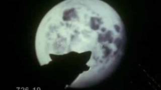 Daydreamers - The Werewolf