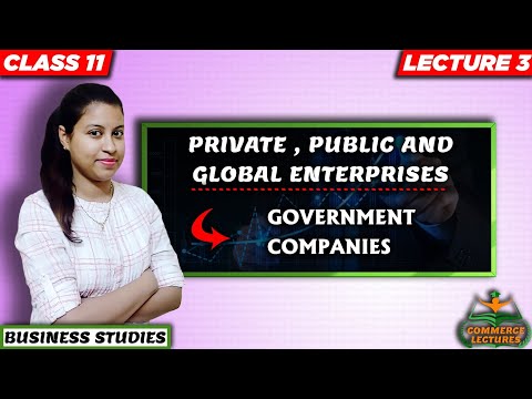 private and public sector enterprises difference between public and private sector class 11