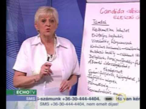 a Candida paraziták gyógyulnak fluke parazita ember