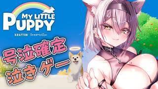 [MY LITTLE PUPPY] Let's play a dog game for my dog's birthday! [PROMISU/Lime]