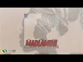 DoouShii And Scotts Maphuma MaDlamini Feat Mellow Sleazy Official Audio